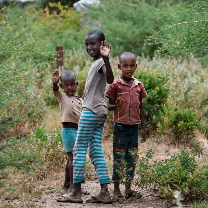 Photo Feb 19, 3 12 45 AM